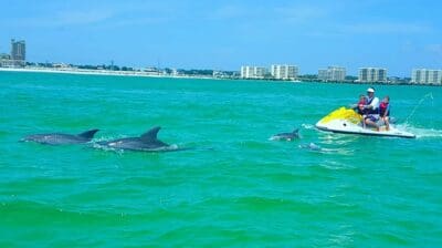 Riders on a jet ski alongside dolphins on a Destin jet ski dolphin tour